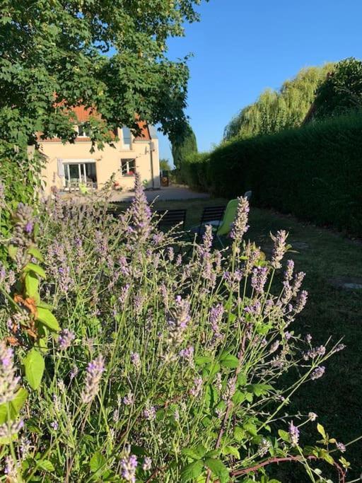 Maison Village, 10 Pers, Proche De La Plage Audinghen Kültér fotó